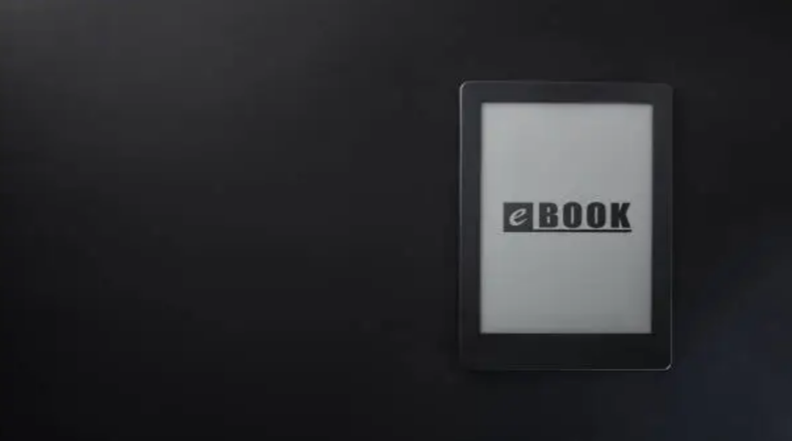 Revolutionizing B2B Display Solutions with E Ink Technology