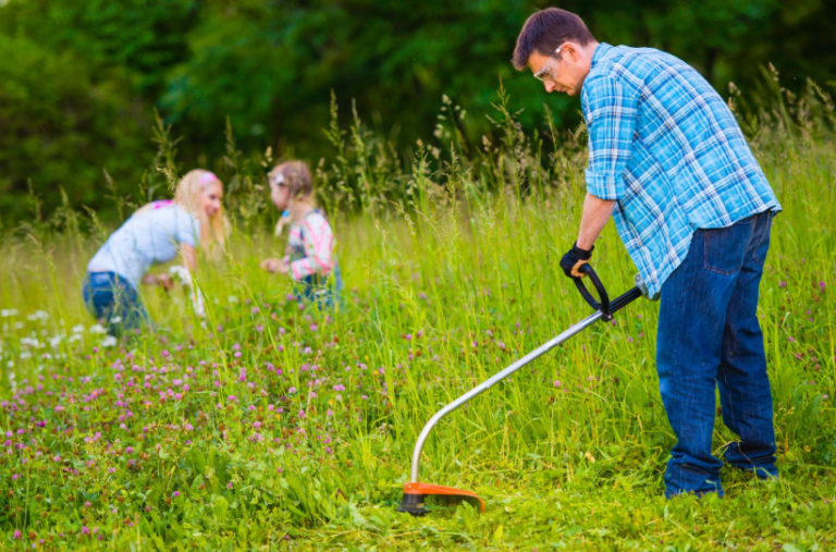How to Choose and Maintain Your Sydney Lawn