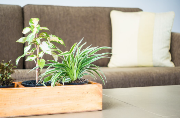 How Environment and Experience Shape Patient Outcomes in Modern Healthcare